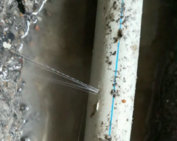 芦淞卫生间测漏水多少钱