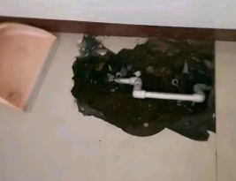 芦淞卫生间测漏水多少钱